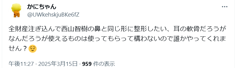 西山智樹は整形してる?