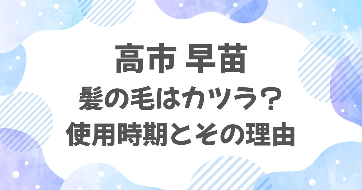 高市早苗の髪の毛はカツラって本当？