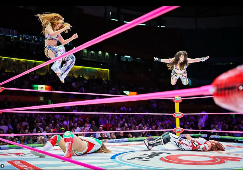 フワちゃんのプロレスチケットはどこで買える？